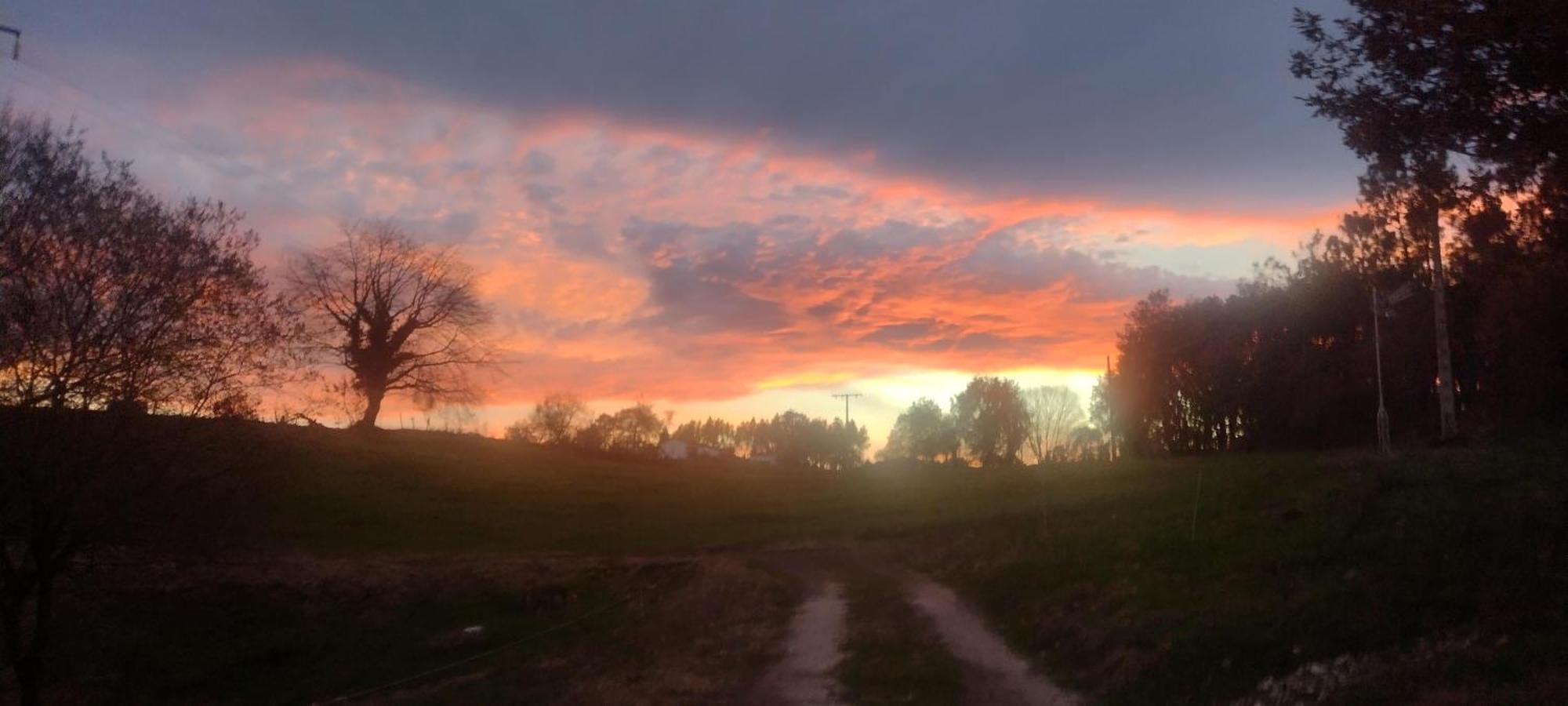 Casa Rural Tulia Grado Dış mekan fotoğraf