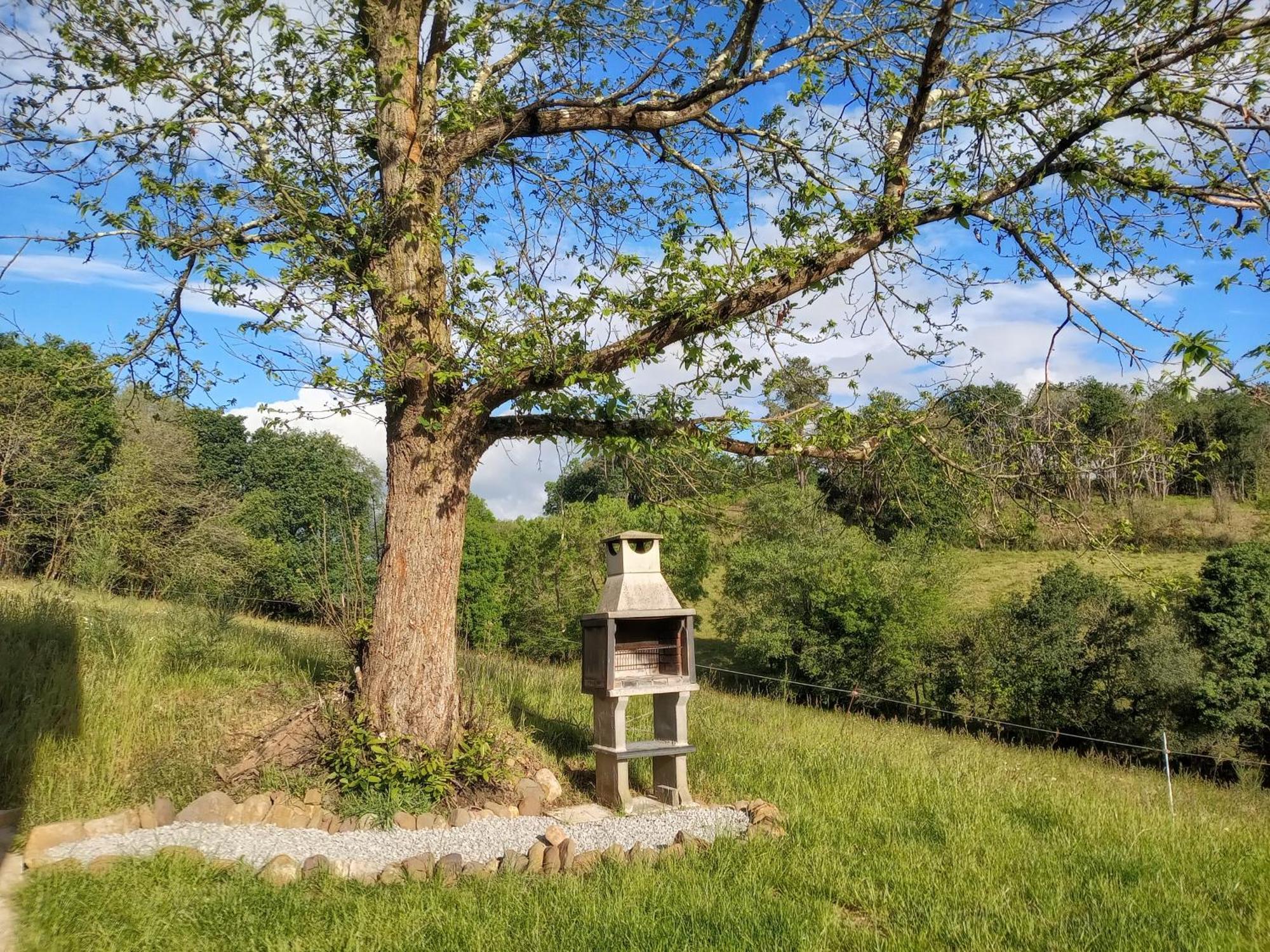Casa Rural Tulia Grado Dış mekan fotoğraf